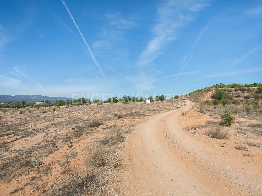 Terrenos y solares en venta en Pedralba, imagen 18