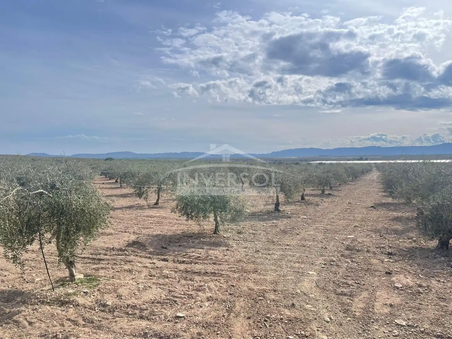 Terreno en venta en Uleila del Campo