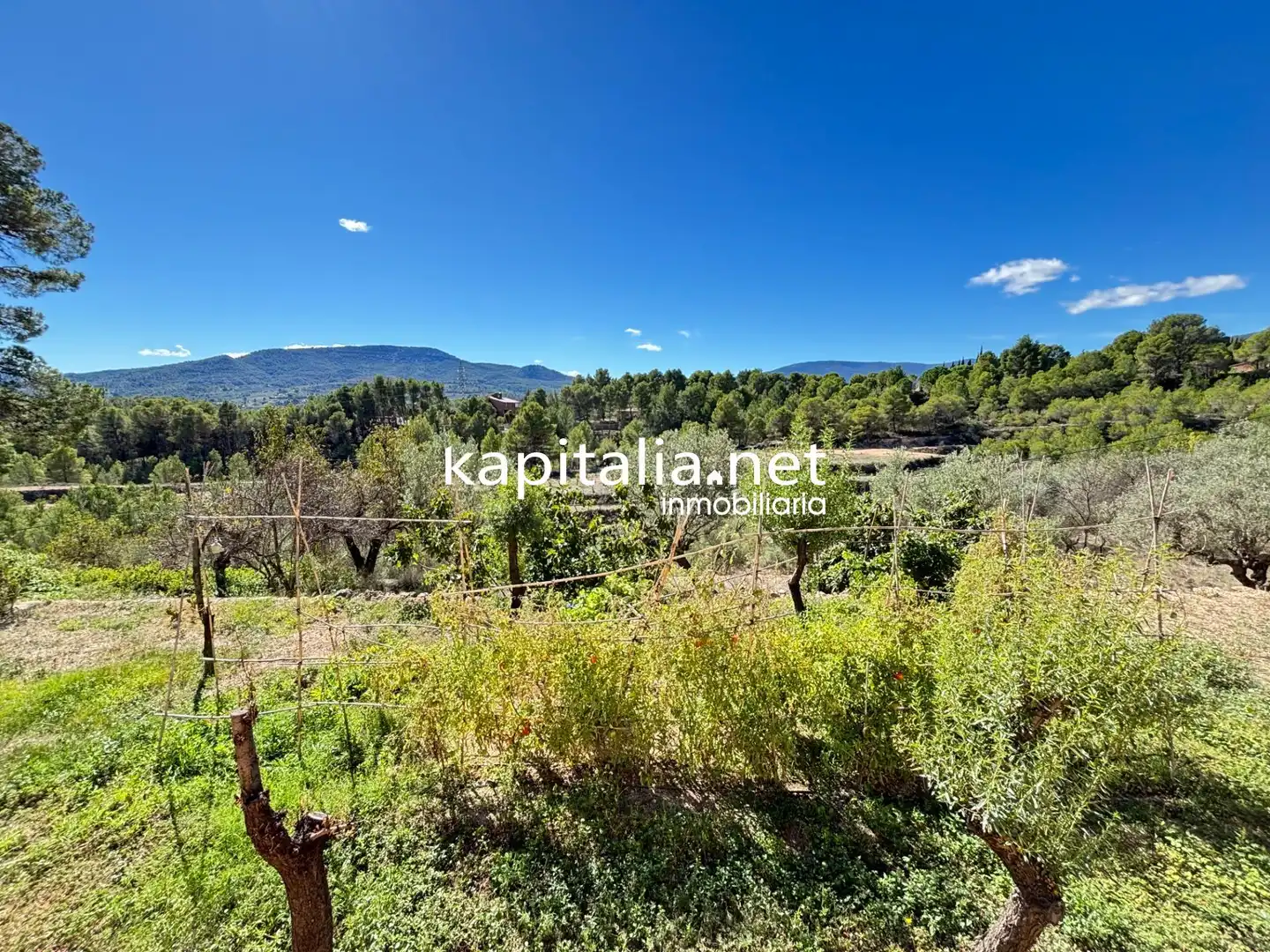 Finca rústica en venda en Cocentaina amb Jardí privat, Terrassa i Traster