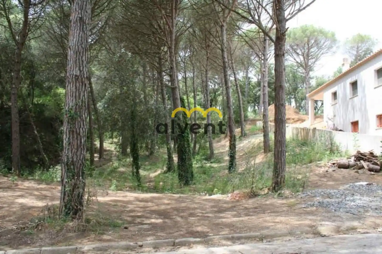 Rural land for sale in Manxa, imagen 14
