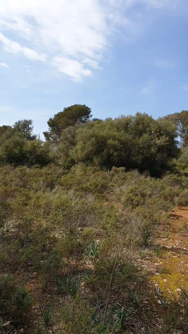 Wohnbaugrundstück zum Verkauf in Cala Pi - Vallgornera, imagen 2