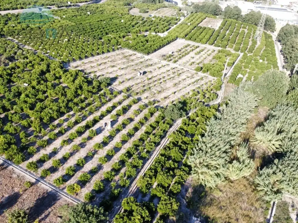 Rustikales Grundstück zum Verkauf in Poligono 3 Paraje 36 Hilo Del Pueblo, imagen 9