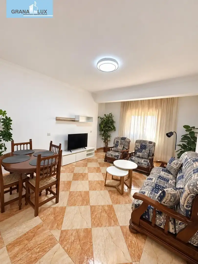Sala d'estar de Pis per a compartir en Granada amb Calefacció i Terrassa