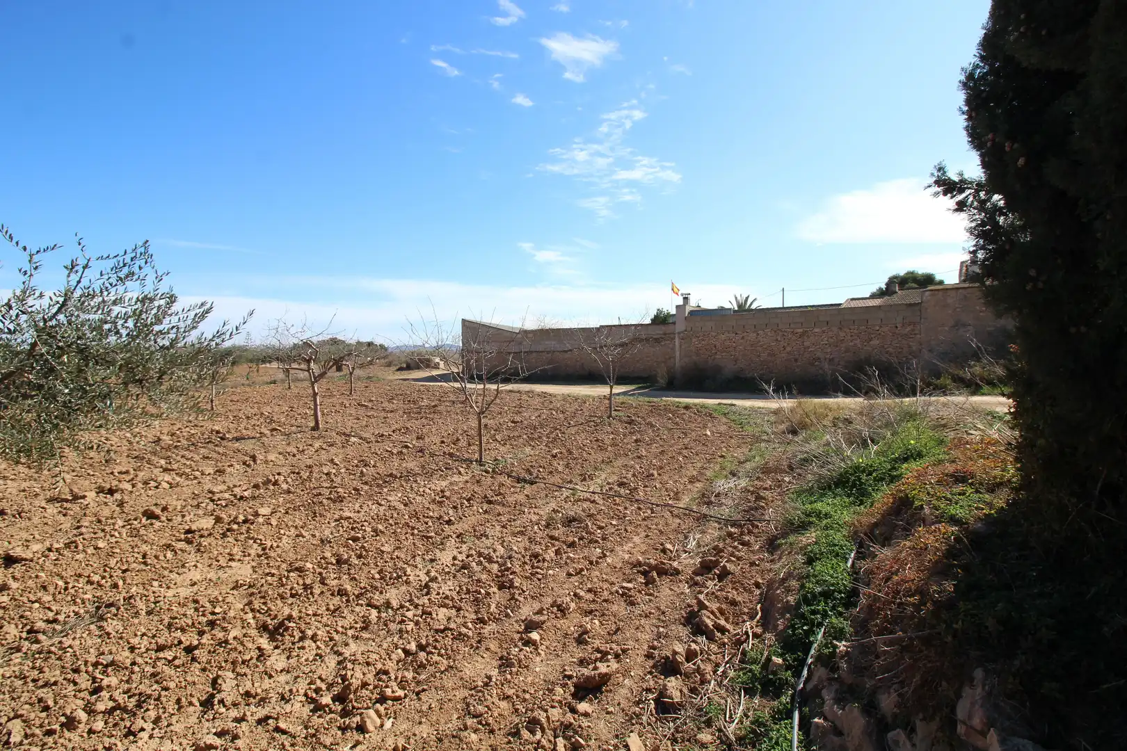 Casa amb jardí en venda a La Pinilla - Las Palas, imagen 31