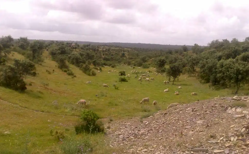 Casa rústica en venda a Valverde del Camino, imagen 19
