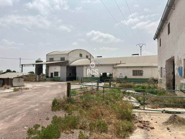 Nave industrial en Venta en Calle Alrededores de Totana, S/N en Totana