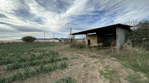 PARCELA DE REGADIO, imagen 2