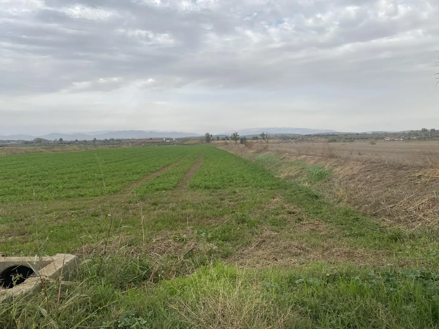 Terreny rústic en venda a Bellcaire d'Urgell, imagen 6