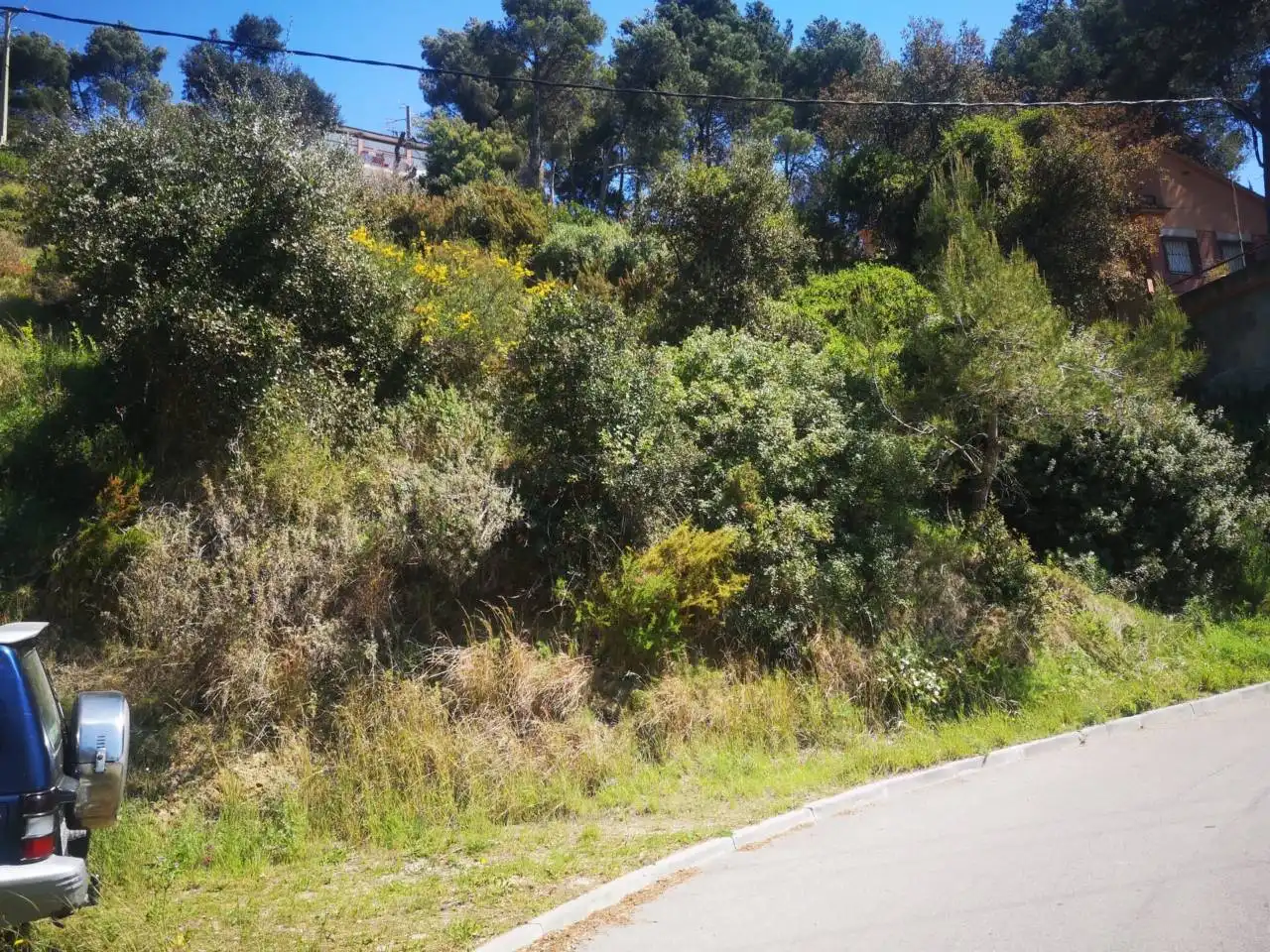 Rural land for sale in Palafolls, imagen 4