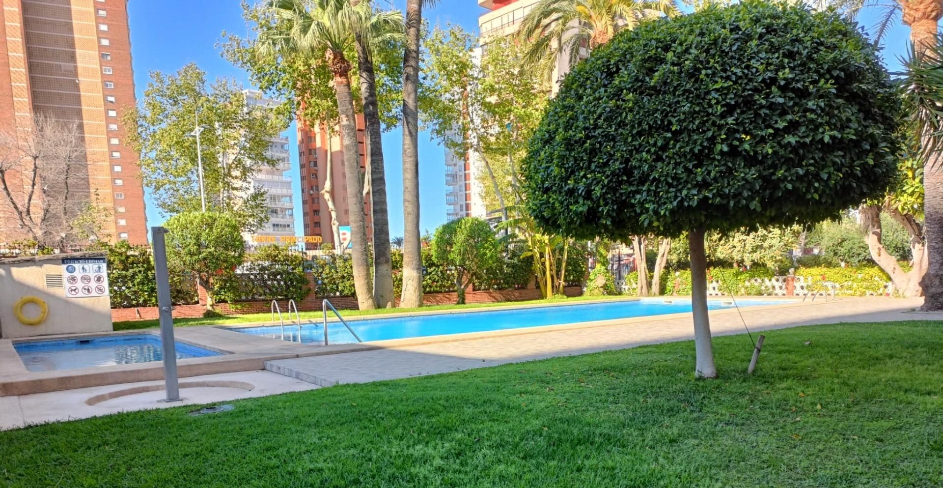 Piscina de Planta baja en venta en Benidorm con Aire acondicionado, Amueblado y Piscina comunitaria