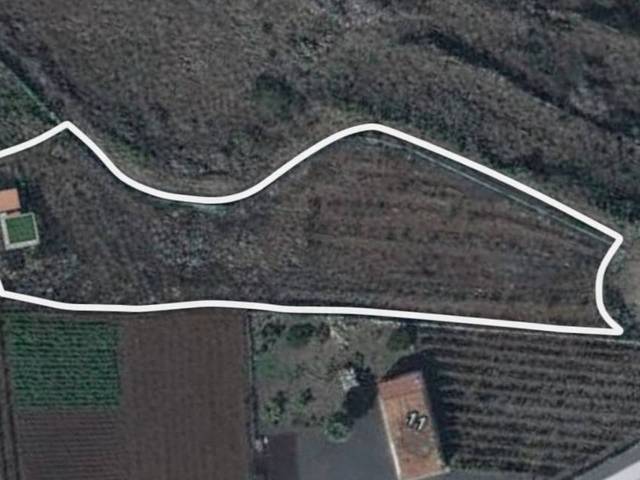 Terreno en Venta en Lugar Finca Era del Conde, 301 en Buenavista del Norte