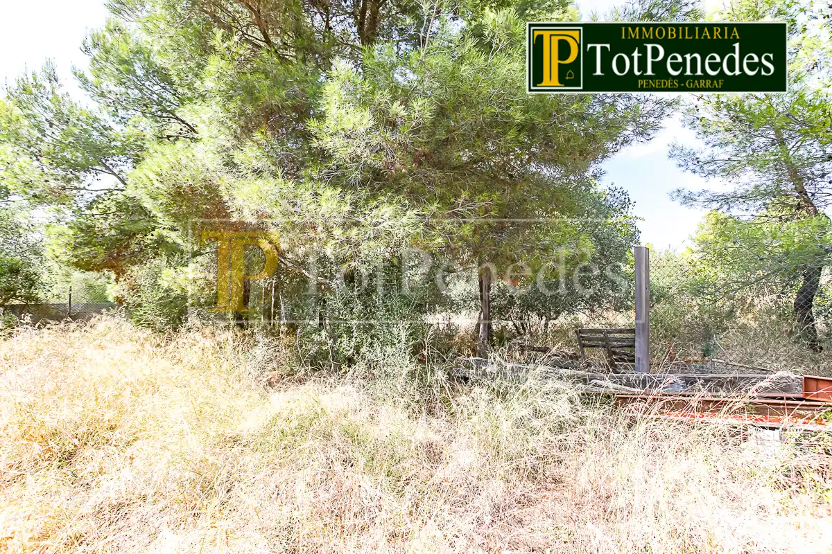 Finca rústica en venta en Vial Camino, 80, Sant Martí Sarroca