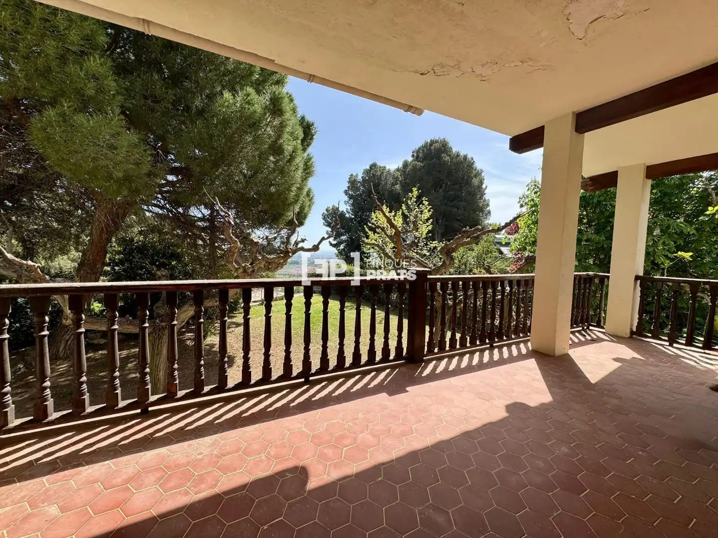 Jardí de Casa o xalet en venda en Alpicat amb Terrassa i Traster