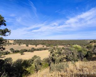 Land for sale in San Martín de Pusa