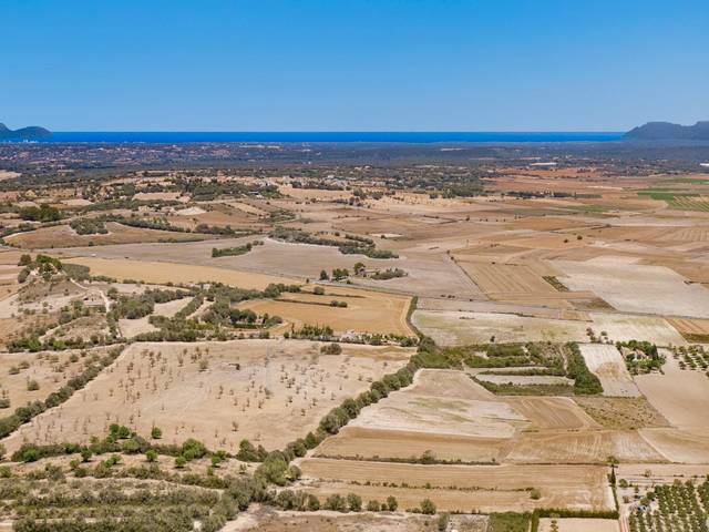 Terreno en Venta en Petra