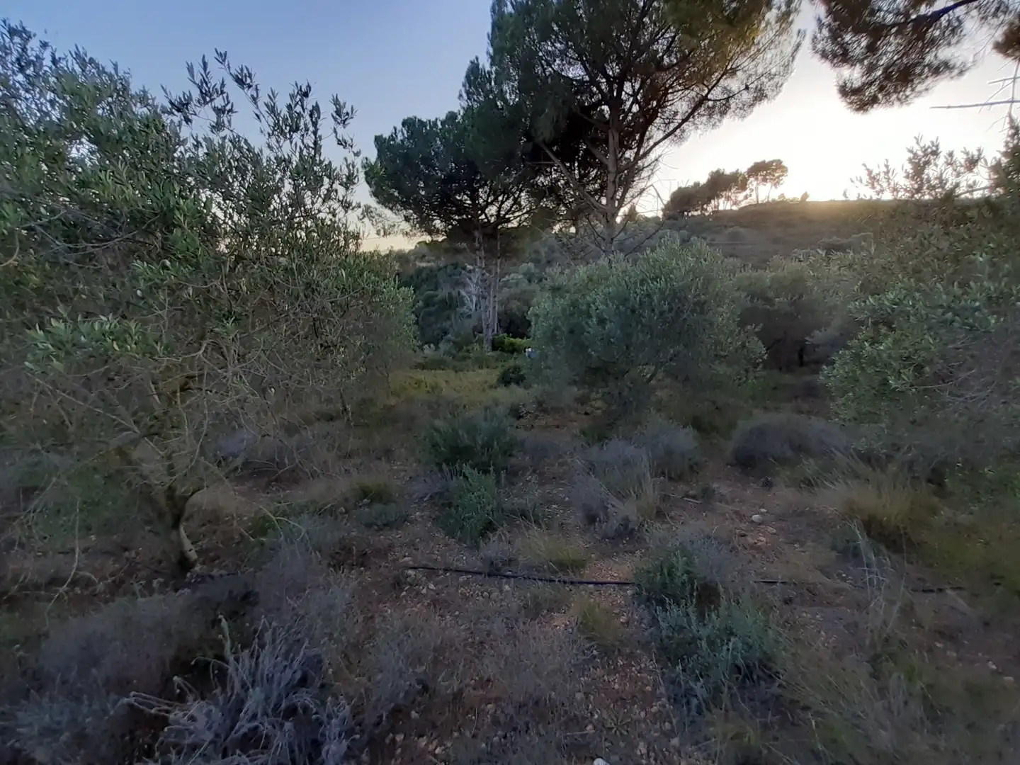 Residencial en venta en Castellbisbal
