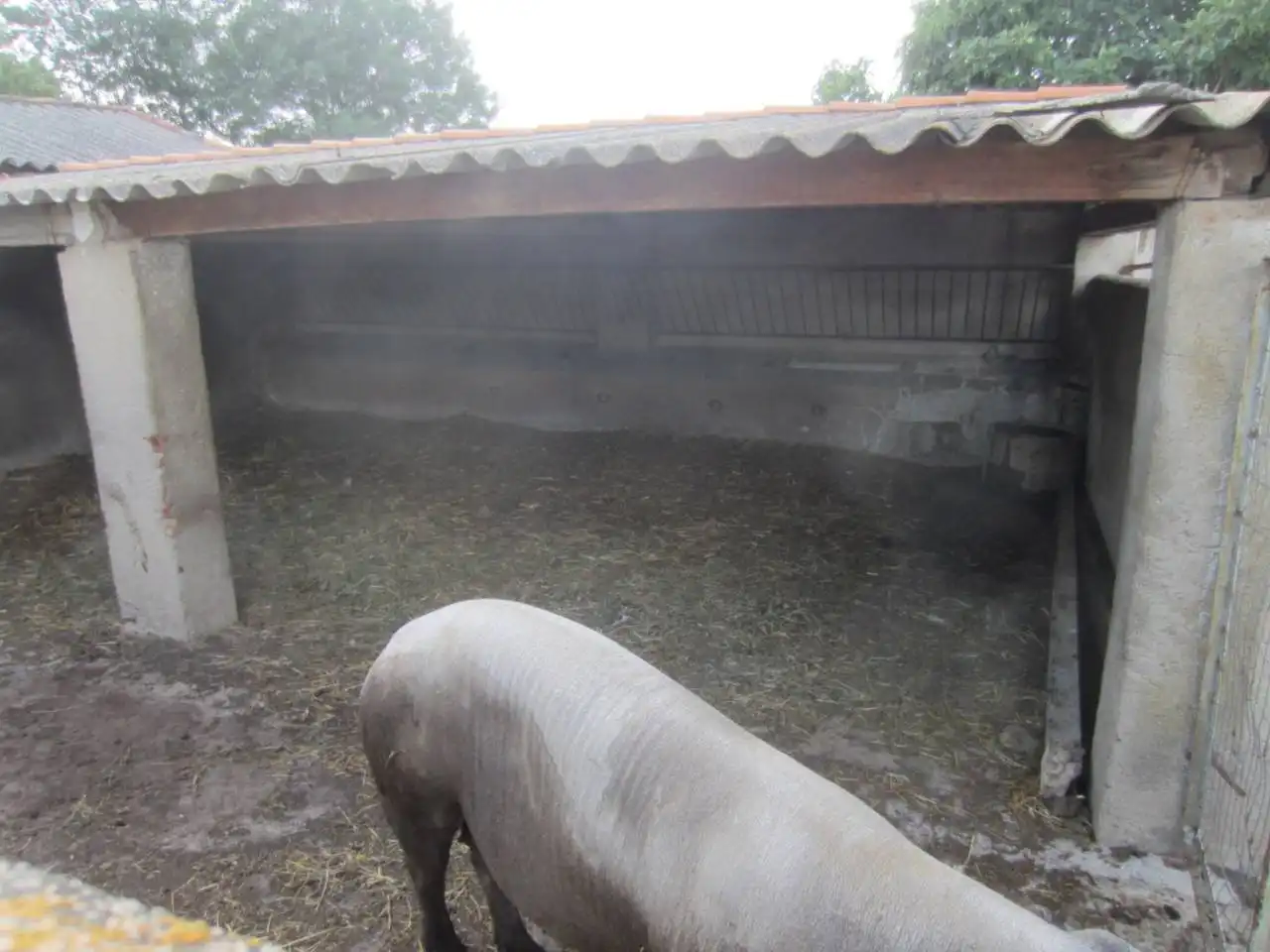 Terreno rustico in vendita a Calle RONDA DEL MEDIODIA, imagen 8