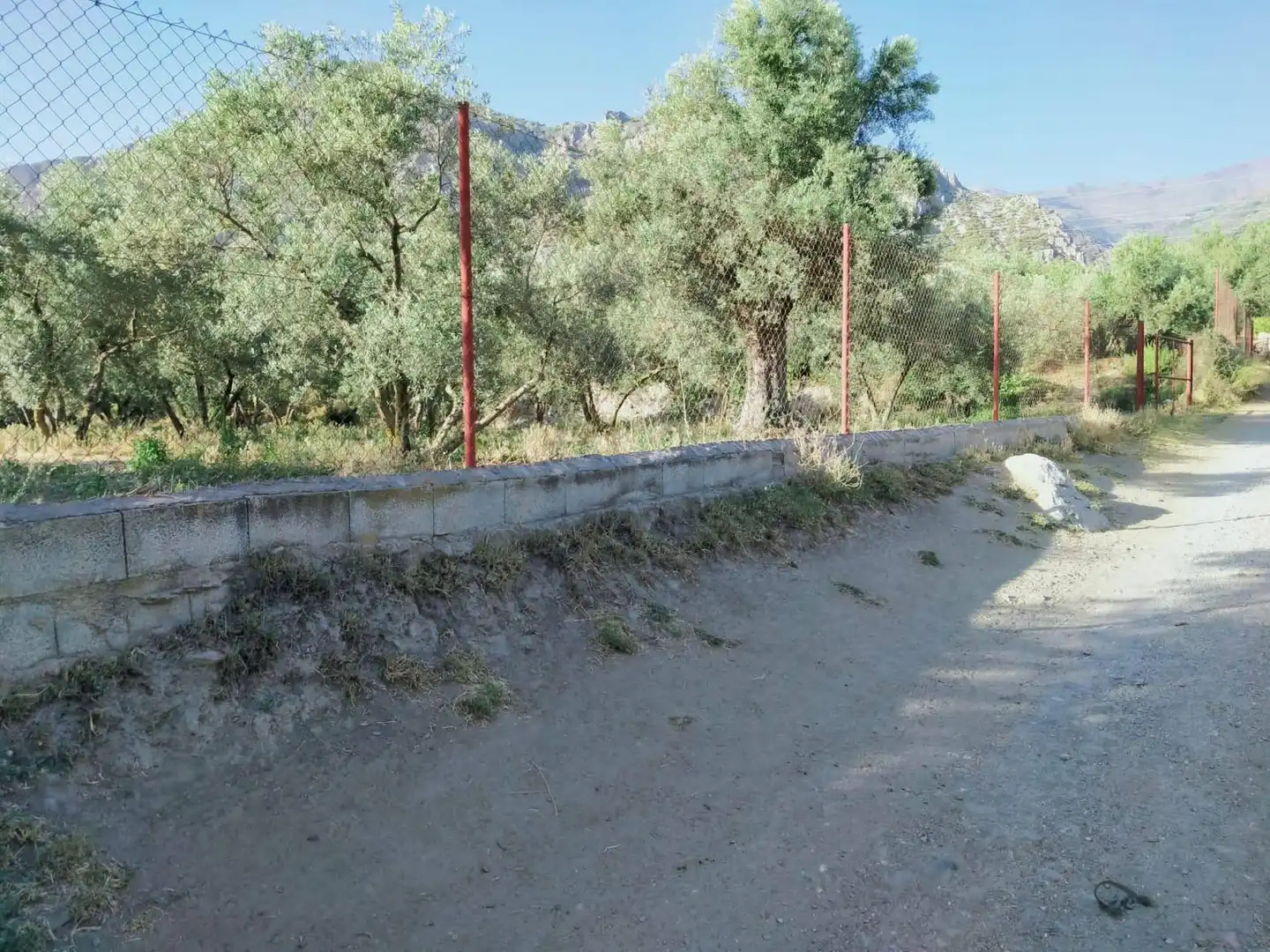 Lands and plots for sale in Nigüelas, imagen 21