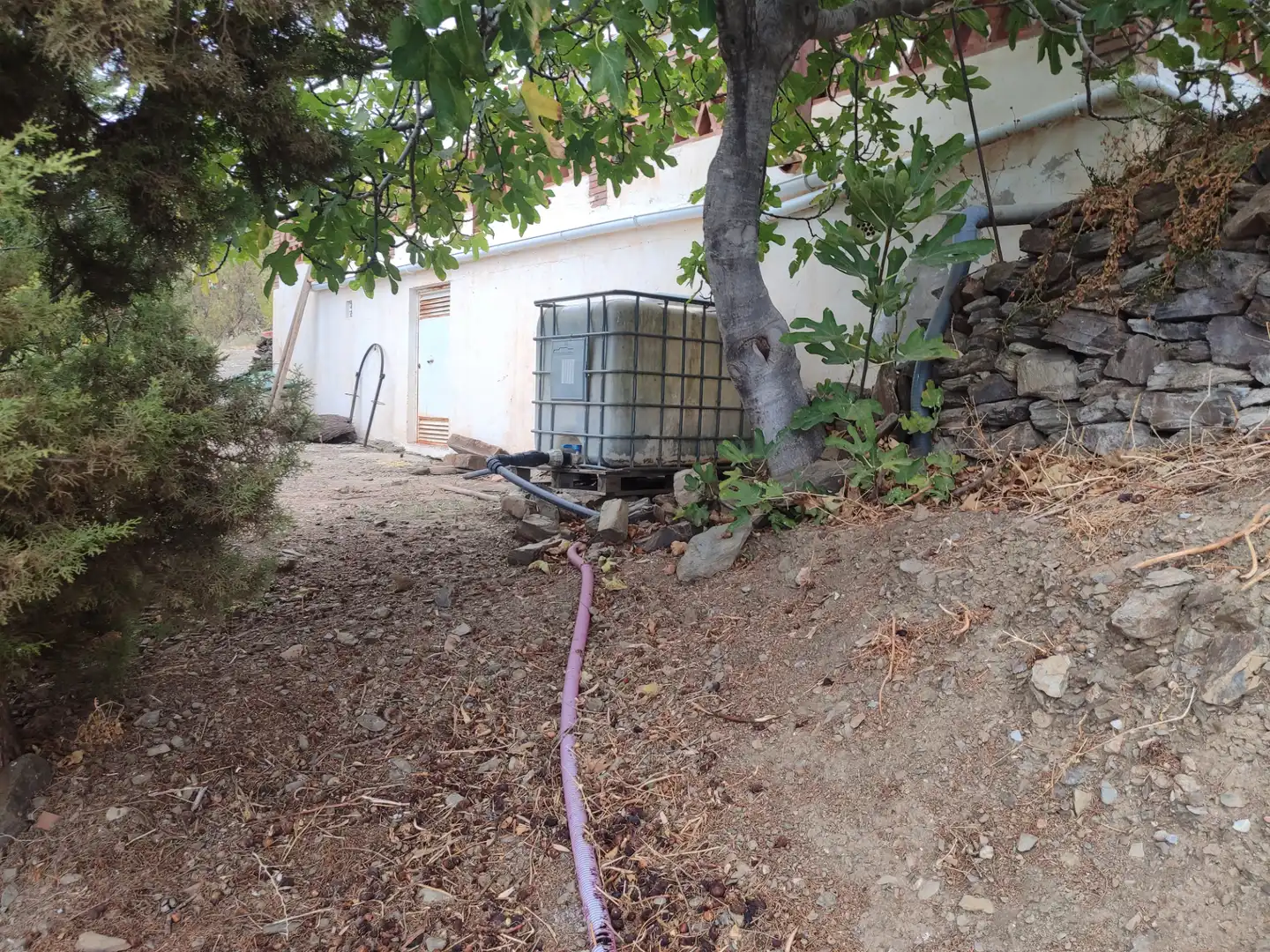 Jardín de Finca rústica en venta en Vélez-Málaga con Jardín privado, Terraza y Piscina
