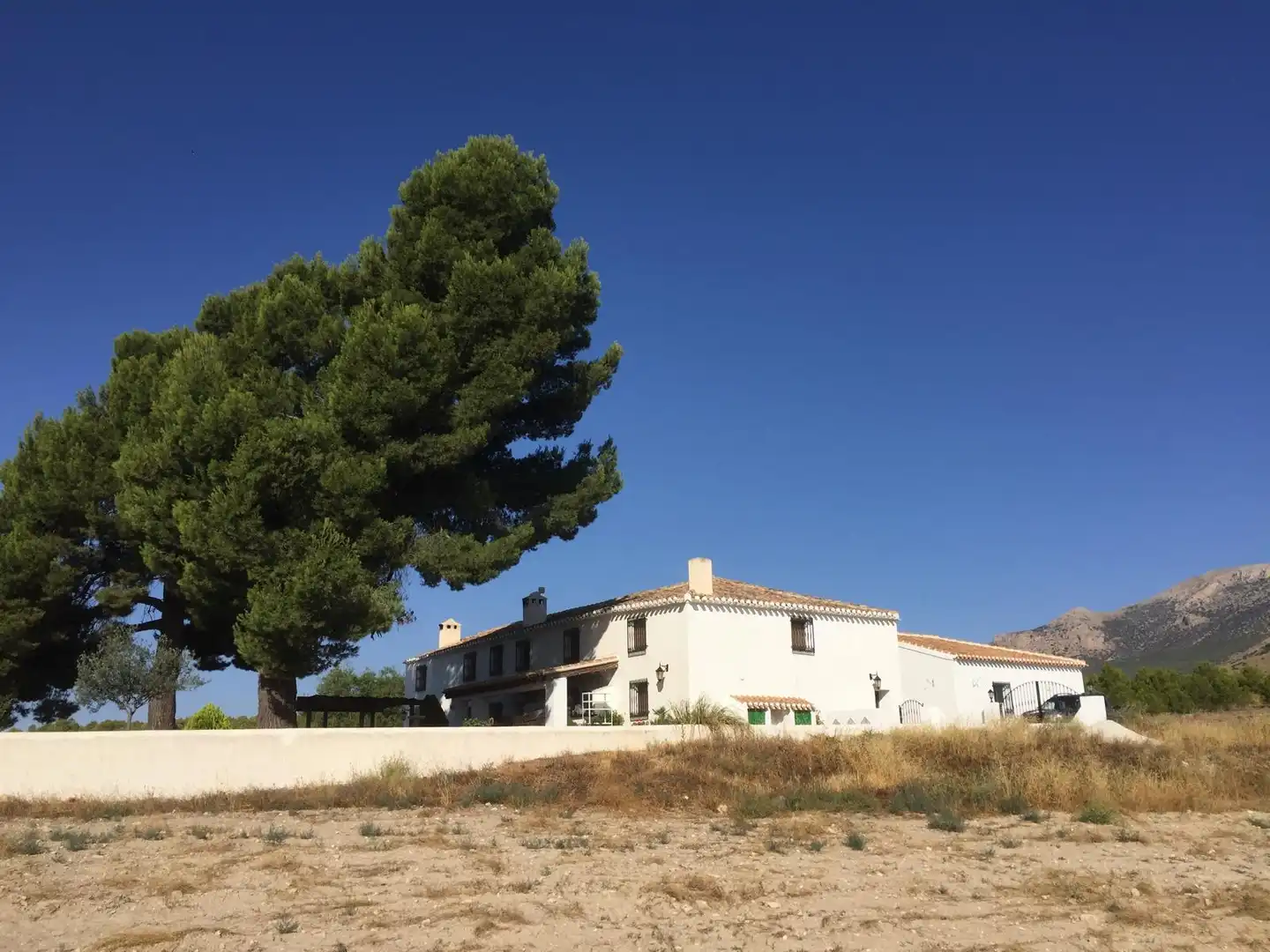 Country house for sale in Chirivel, imagen 3