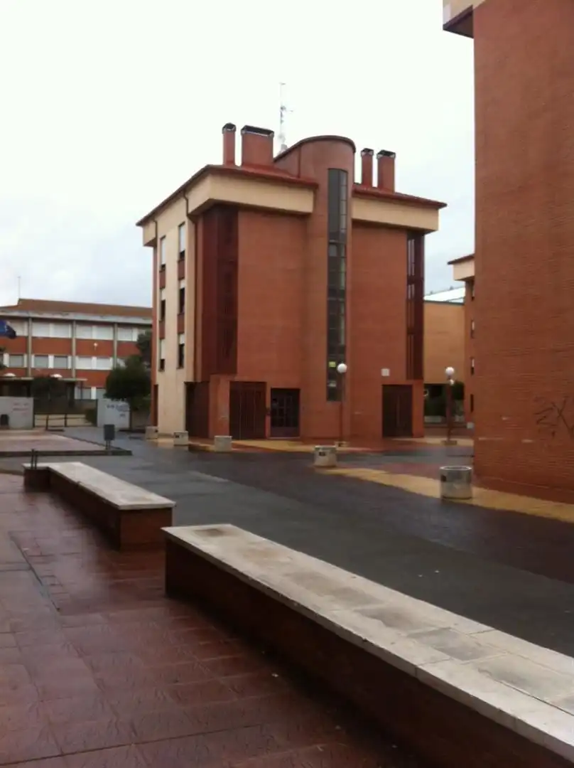 Individual en venta en Avenida Prado Boyal 16, imagen 3