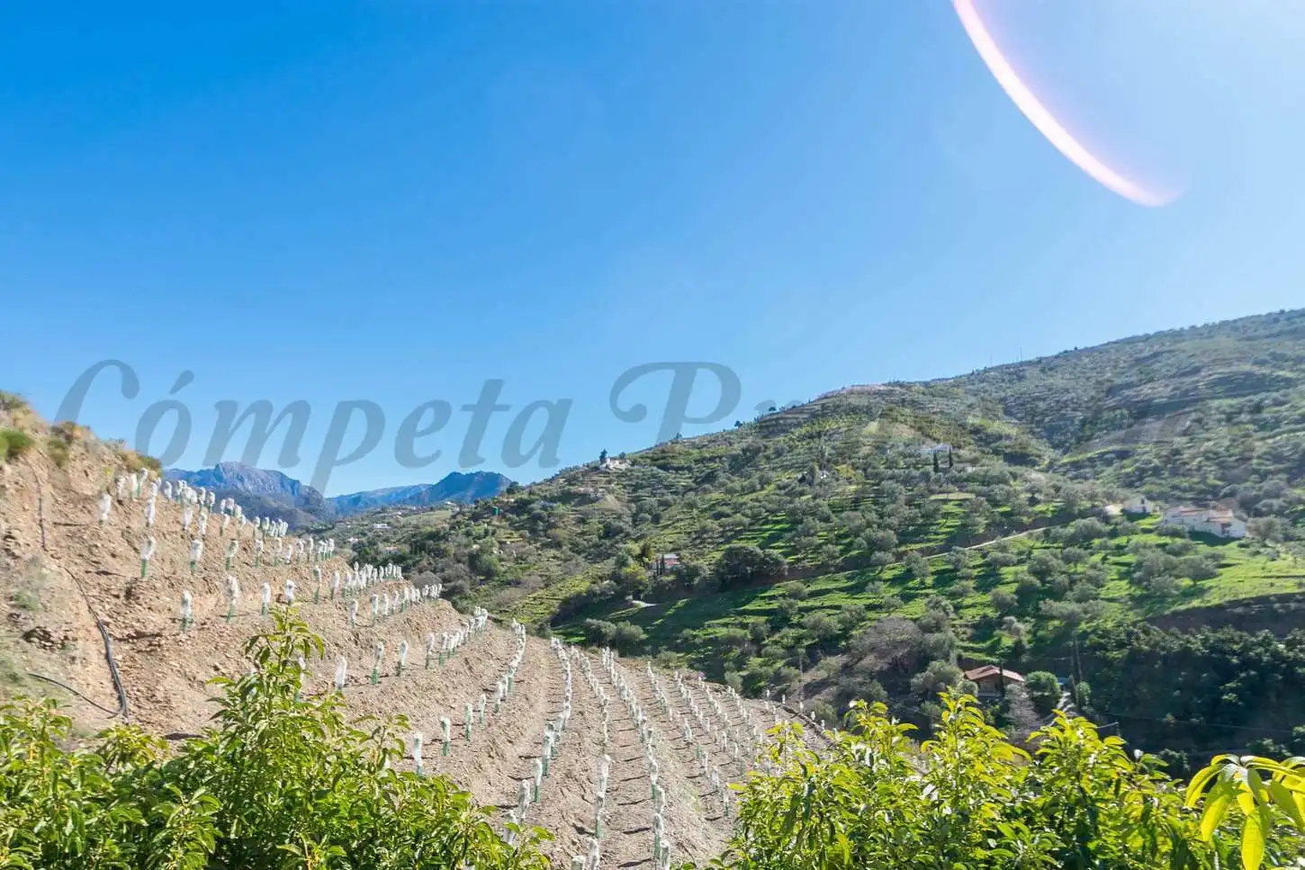 House for sale in Cómpeta, imagen 9