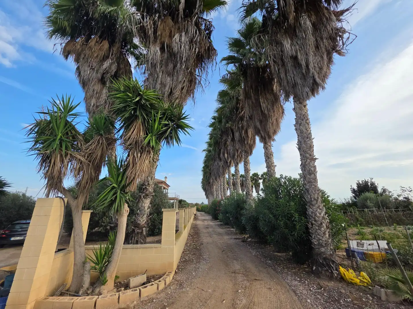 Rural land for sale in Carretera PEREZ LOS, imagen 34