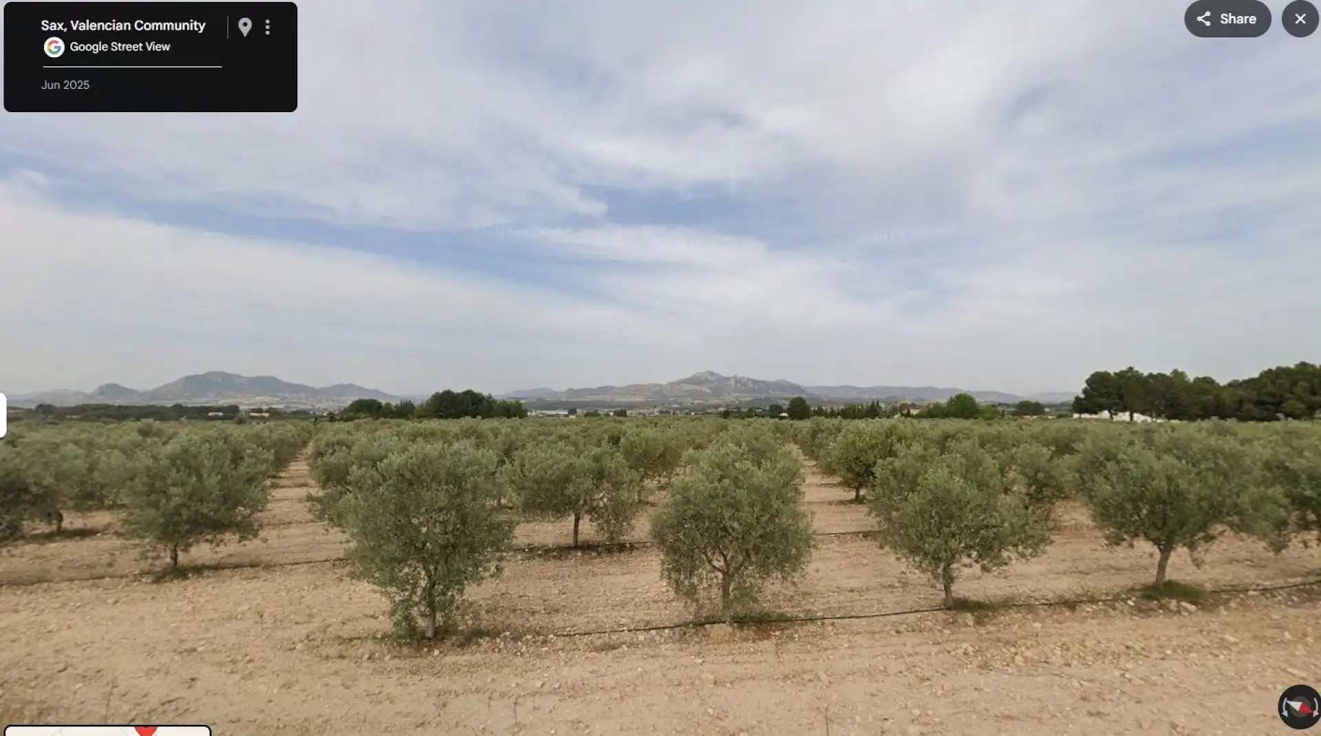 Rural land for sale in Sax, imagen 5