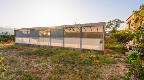 Foto 3 de Finca rústica en venda a Paseo de la Iglesia, Pechina, Almería