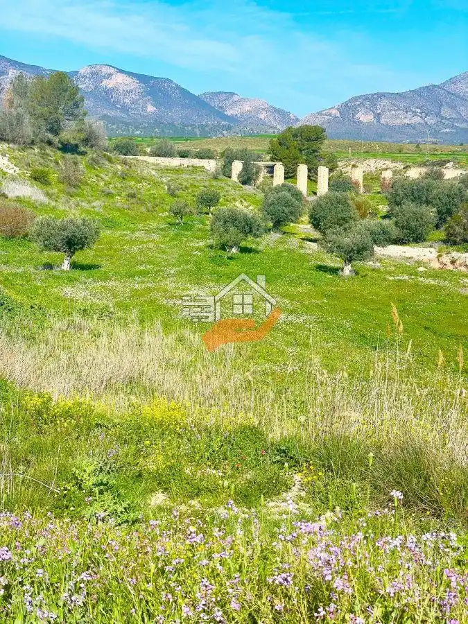 Lands and plots for sale in Pedanías Norte, imagen 14