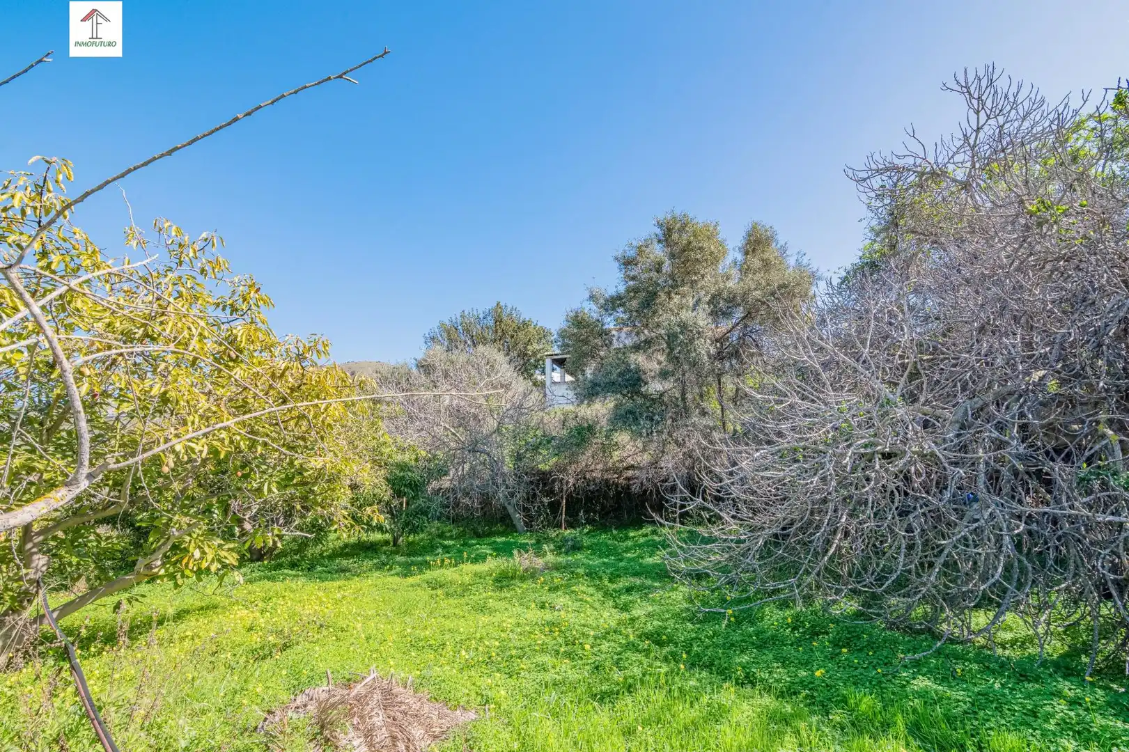 Casa o chalet en venta en Motril con Jardín privado, Terraza y Piscina