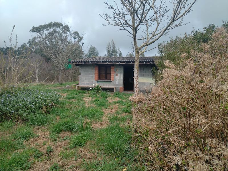 Exterior view of Country house for sale in Valdés - Luarca  with Furnished