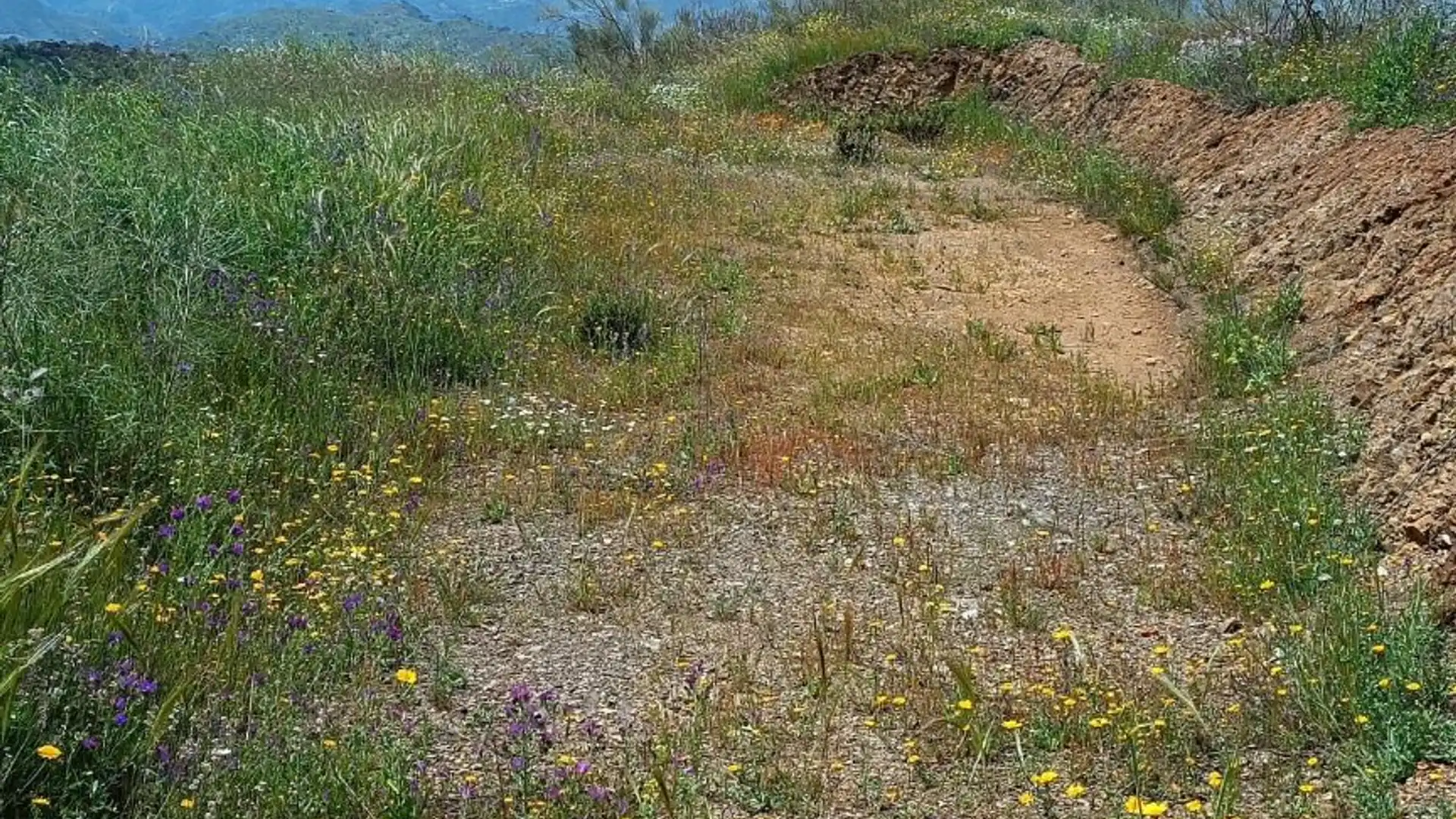Terreno en venta en Casabermeja