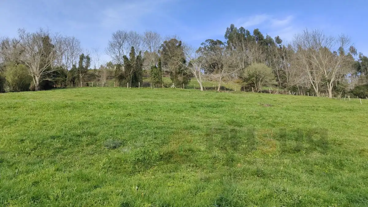 Terreni e lotti in vendita a Villegar, imagen 6