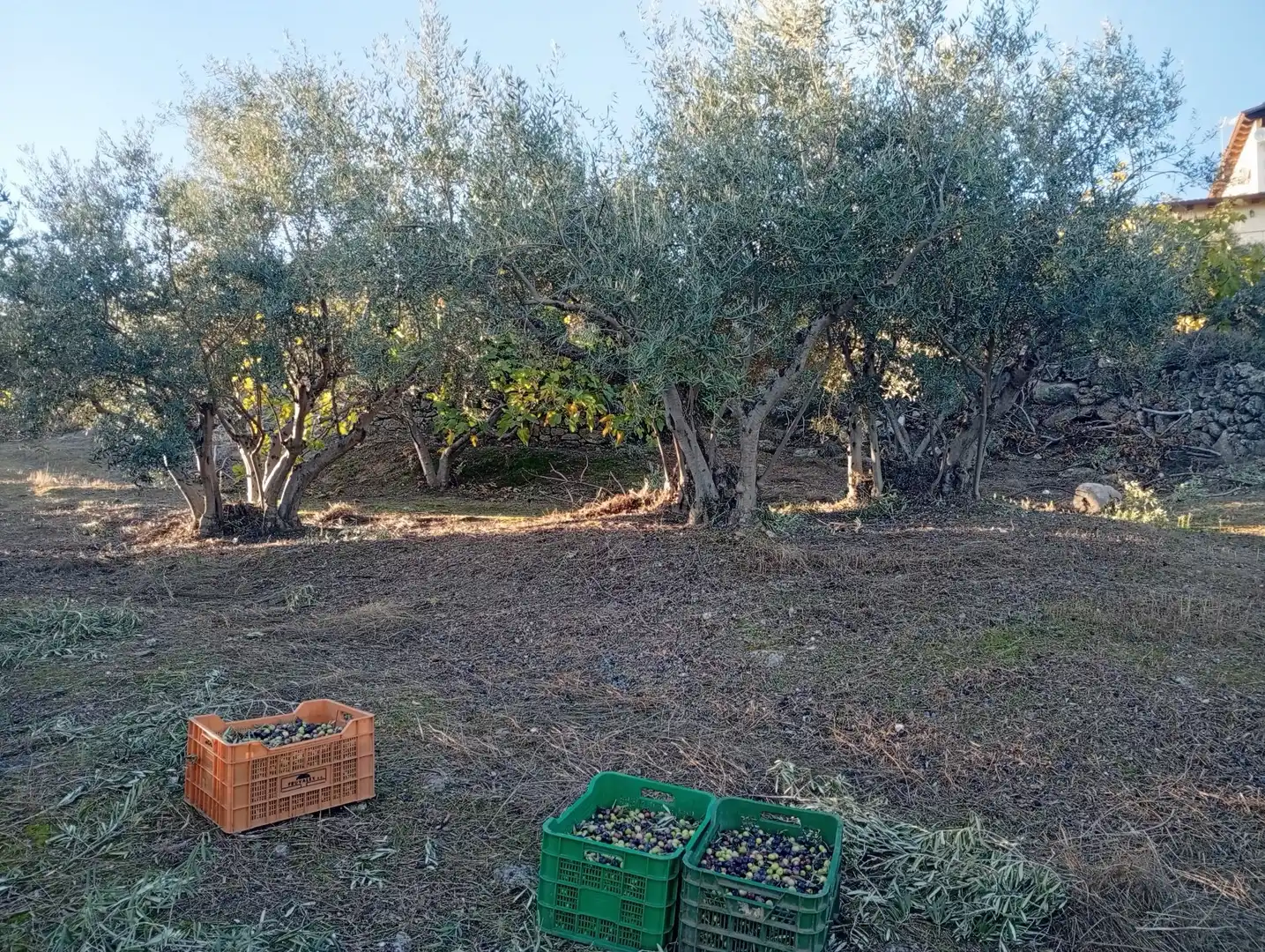 Terreni e lotti in vendita a Villanueva de la Vera, imagen 21