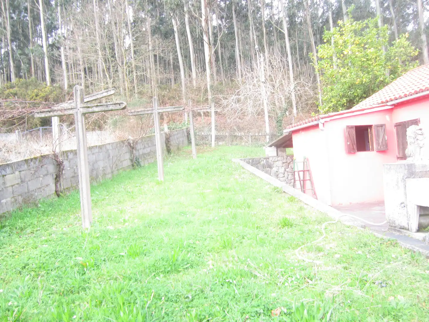 Terreno residencial en venta en Neda, imagen 5