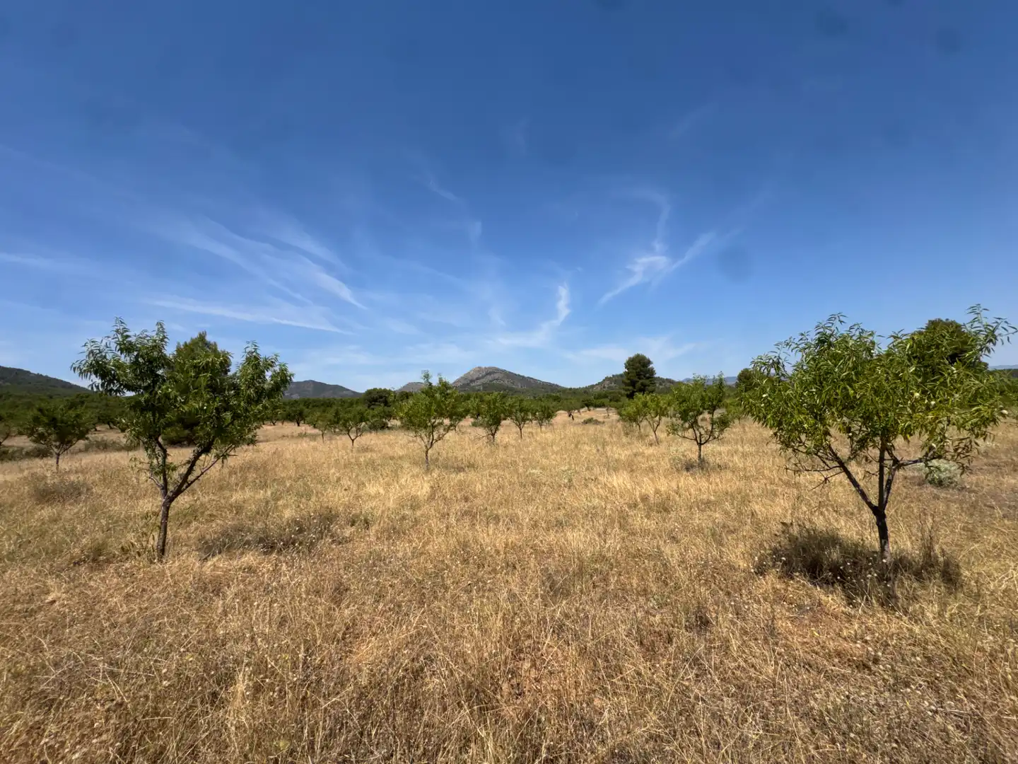Rural land for sale in N/A, imagen 59