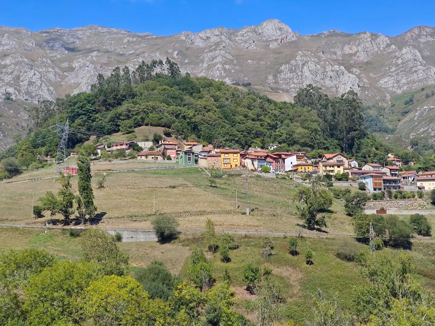 Vista exterior de Casa o chalet en venta en Peñamellera Alta