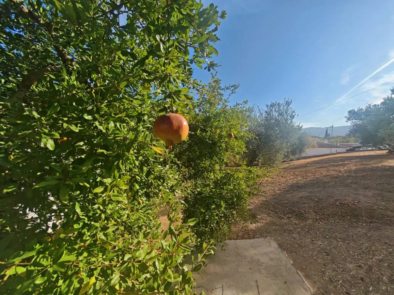 Xalet amb jardí en venda a Loja, imagen 44