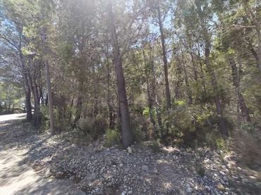 Rural land for sale in Alcossebre
