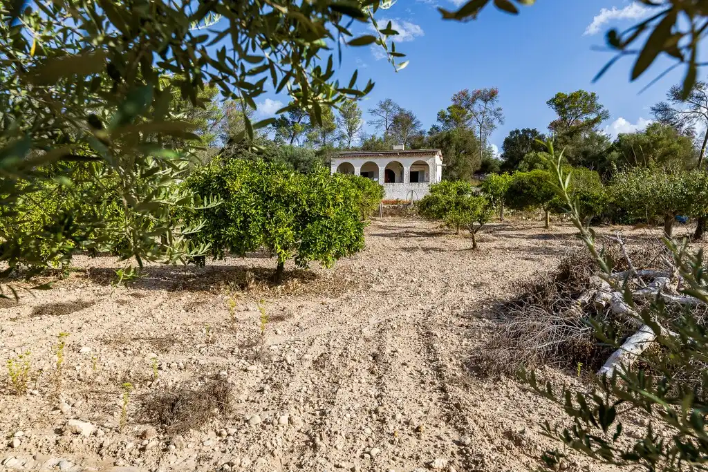 Casa rustica con giardino in vendita a Algaida, imagen 36