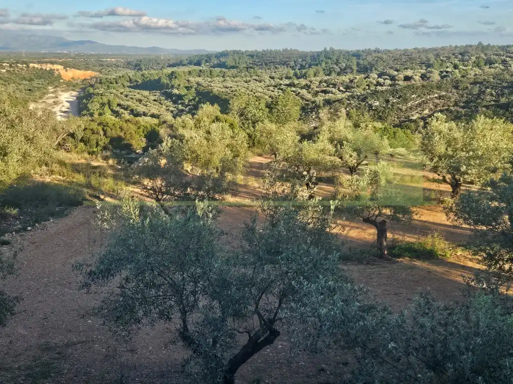 Finca rústica en venta en Canet lo Roig con Jardín privado