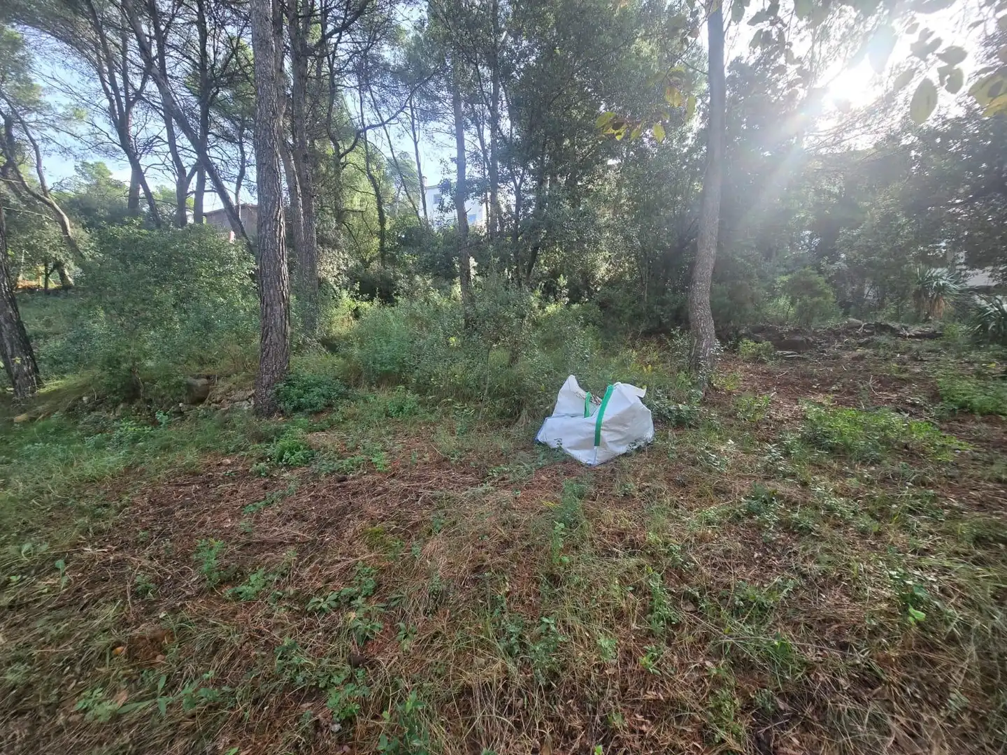 Lands and plots for sale in Airesol, imagen 15