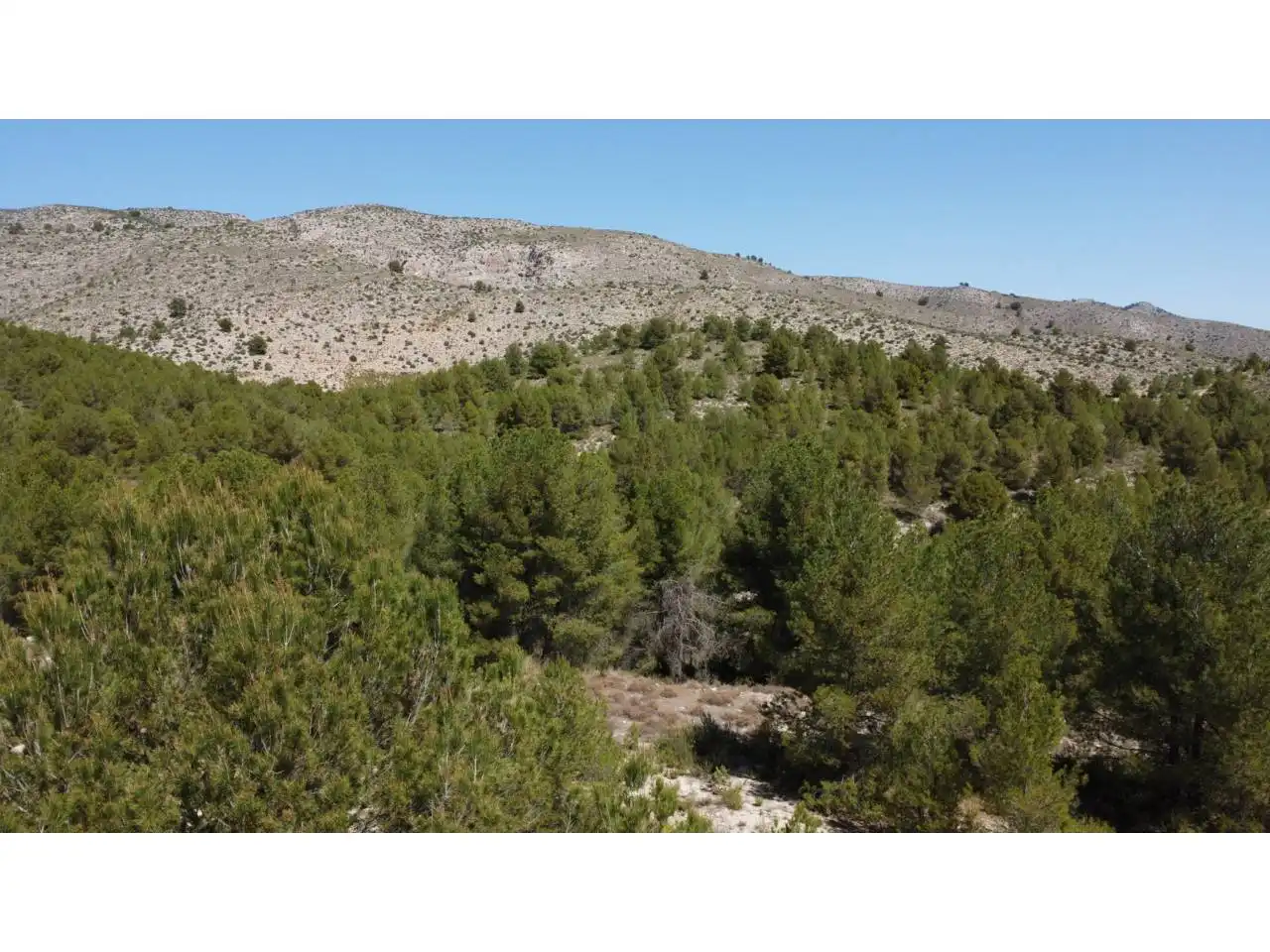 Terreno rustico in vendita a Carretera Llano de Béjar, imagen 18