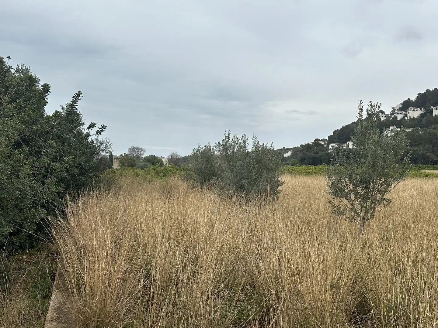 Terreno rustico in vendita a Pego, imagen 18