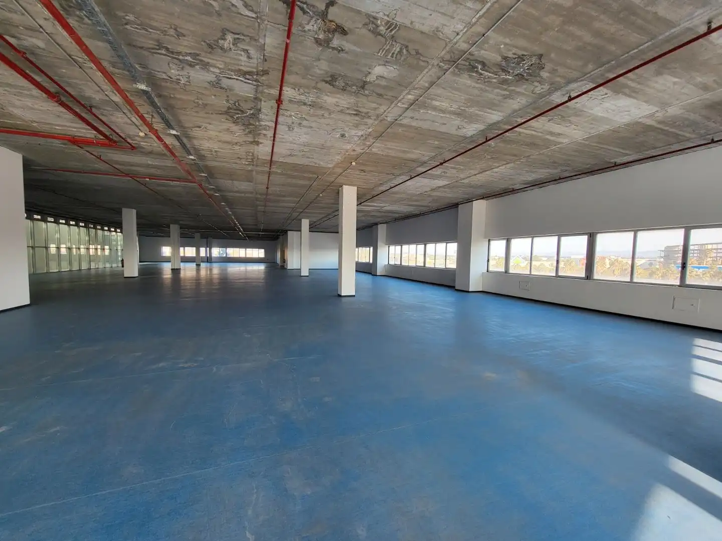 Local comercial en venta en Calle Centro Comercial Bonaire, imagen 10