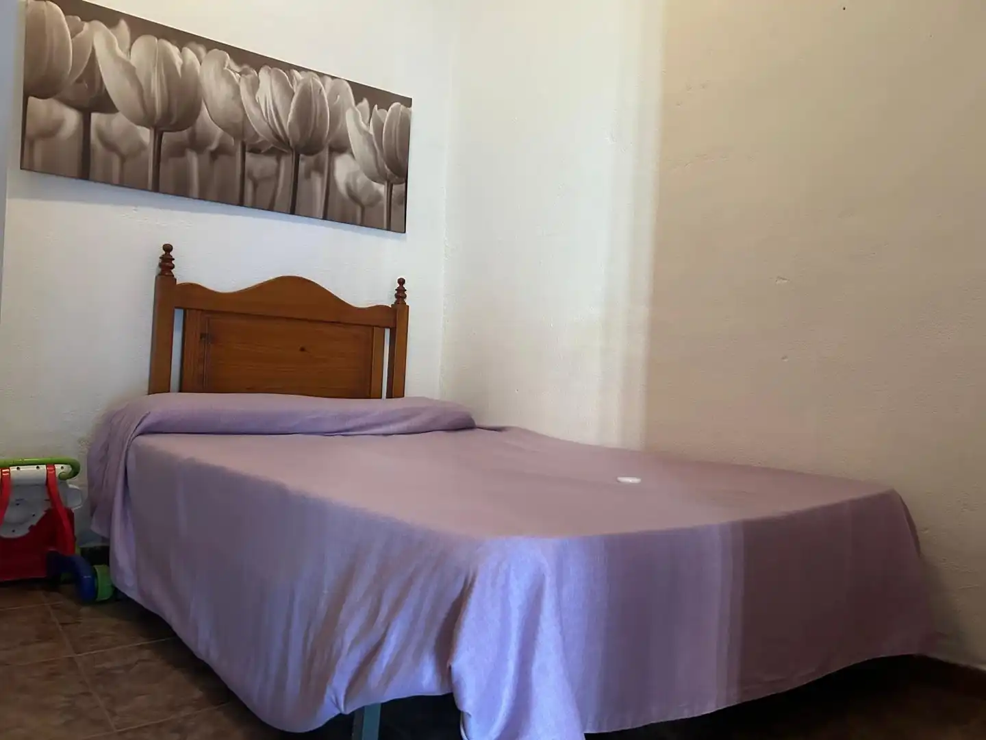 Maison à vendre à El Ejido Ciudad, imagen 17