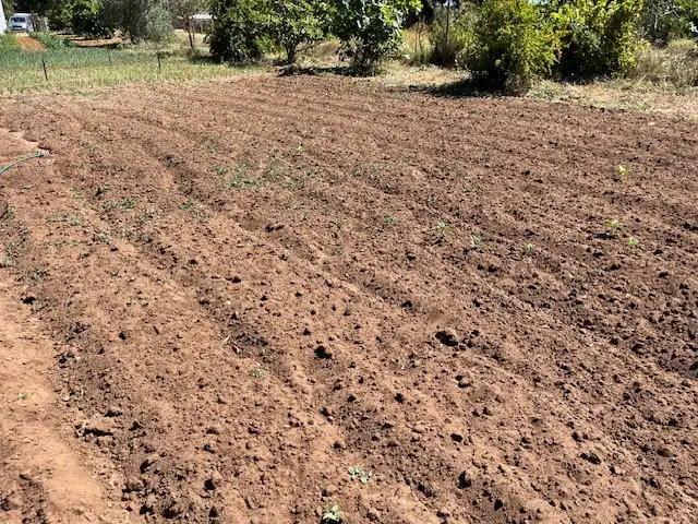 Finca rústica en venta en Vejer de la Frontera