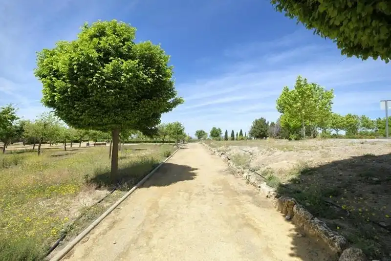 Terreni e lotti in vendita a Dílar, imagen 6