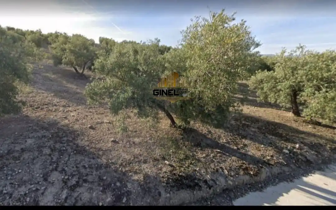 Finca rústica en venda en Jaén
